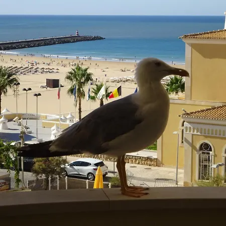 Apartment T1 Com Piscina E Vista Mar - Da Rocha *