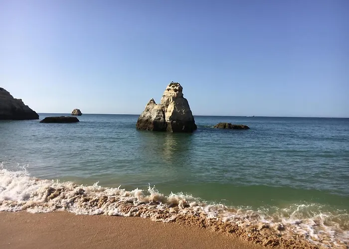 T1 Com Piscina E Vista Mar - Da Rocha *