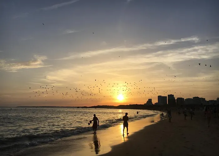 T1 Com Piscina E Vista Mar - Da Rocha Apartment *